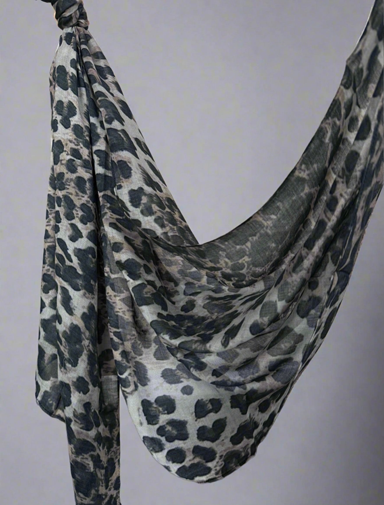 Grey Leopard